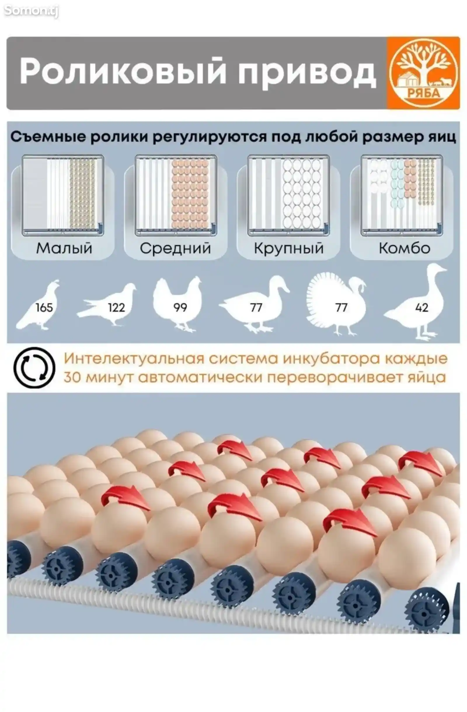 Инкубатор Ряба 100-6