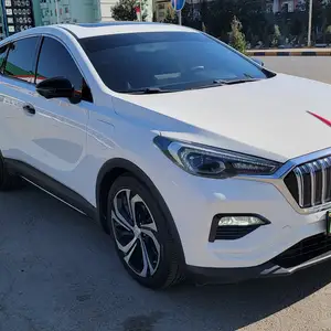 Hongqi E-HS3, 2019