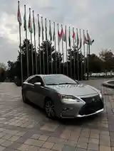 Lexus ES series, 2017-2