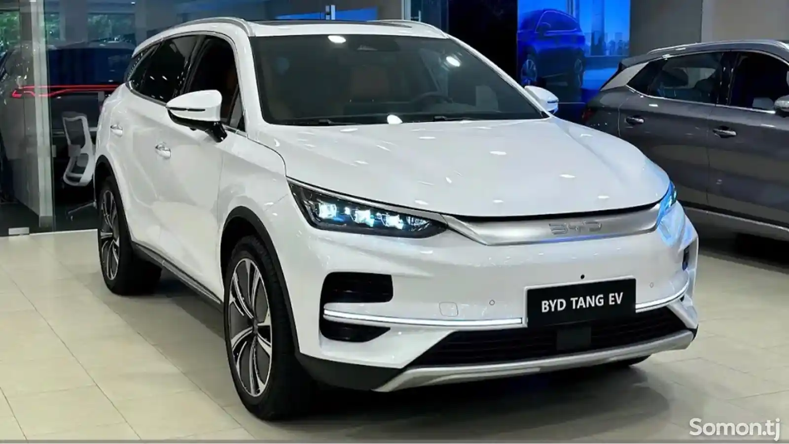 BYD Tang, 2024 на заказ-1