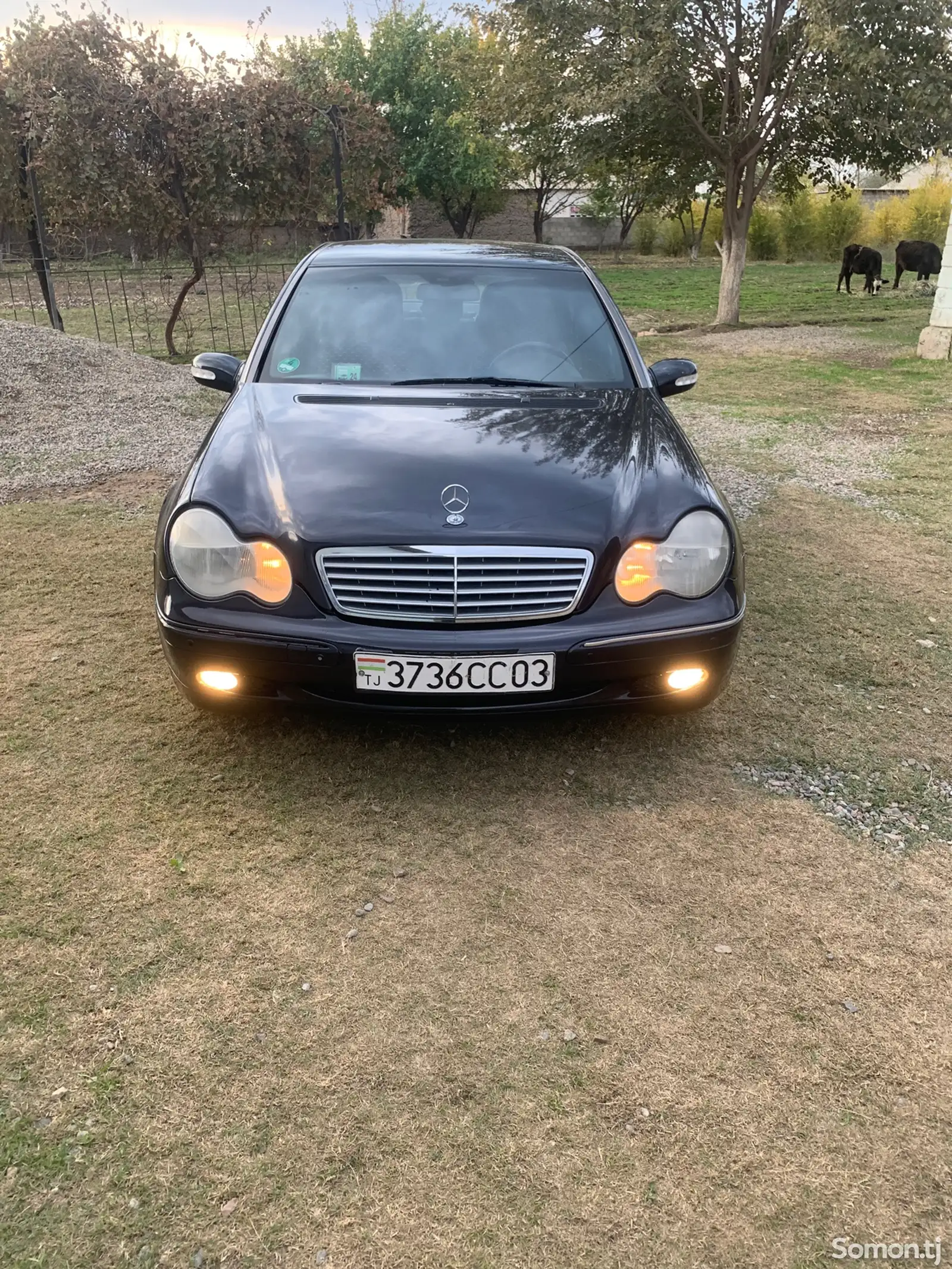 Mercedes-Benz C class, 2001-1