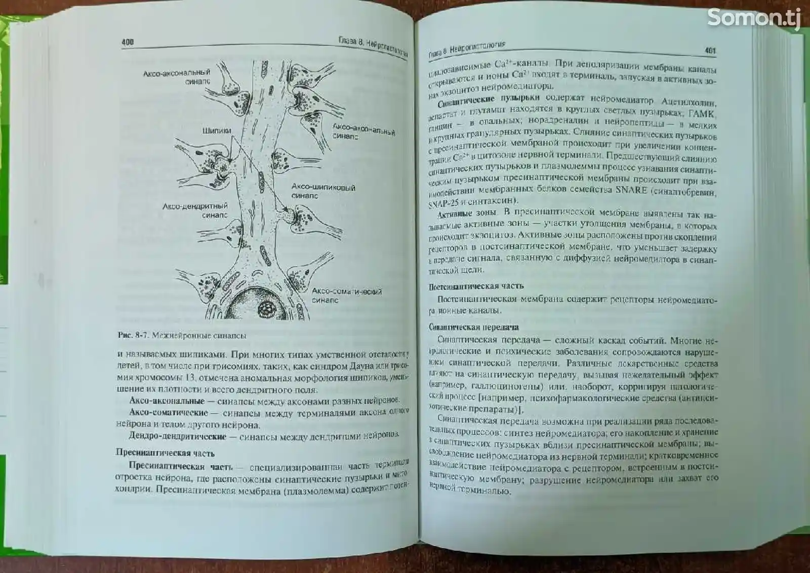 Учебник - Гистология, эмбриология, цитология-5