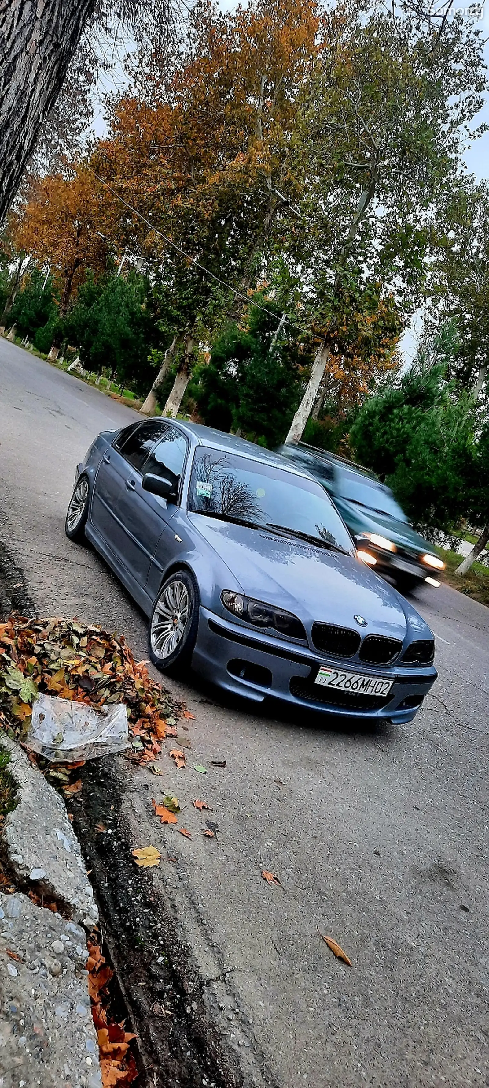 BMW 3 series, 2004-1