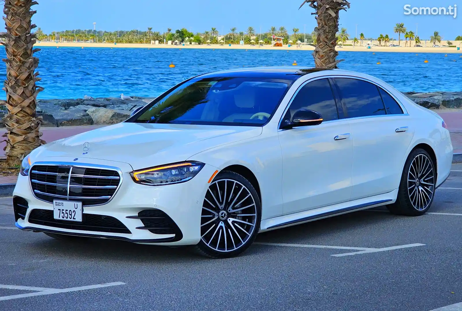 Mercedes-Benz S class, 2022-5