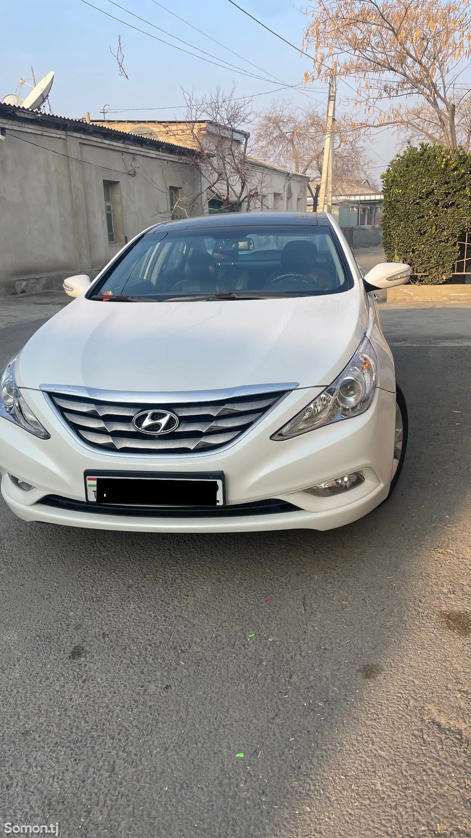 Hyundai Sonata, 2010-1