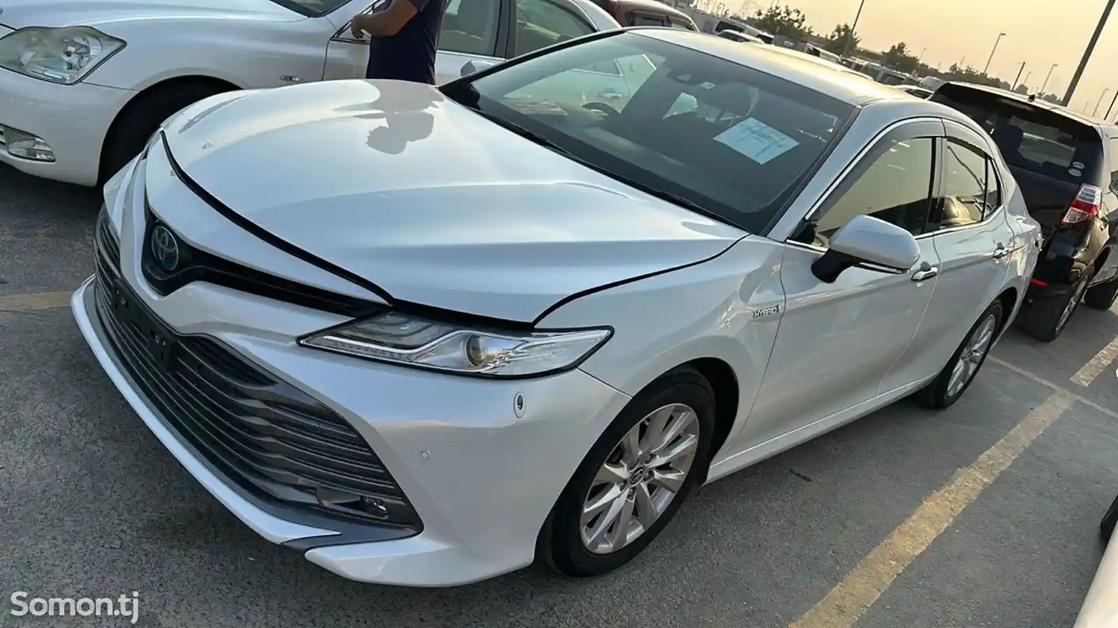 Toyota Camry, 2019-1