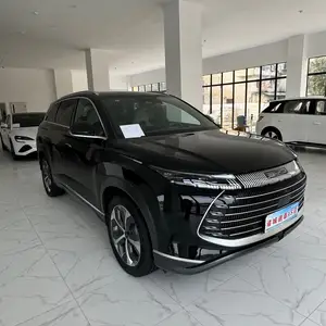 BYD Другие модели, 2023