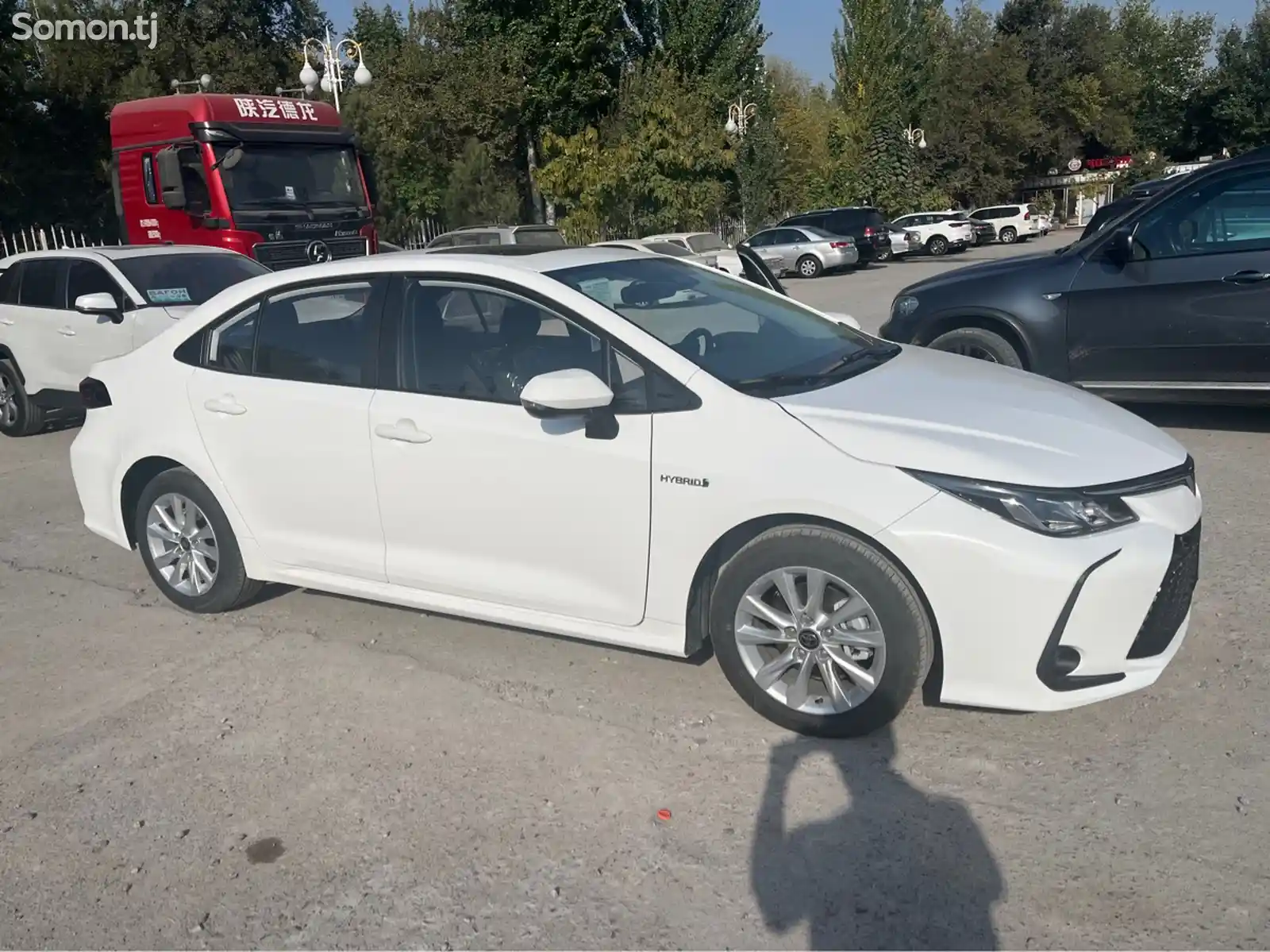 Toyota Corolla, 2024-2