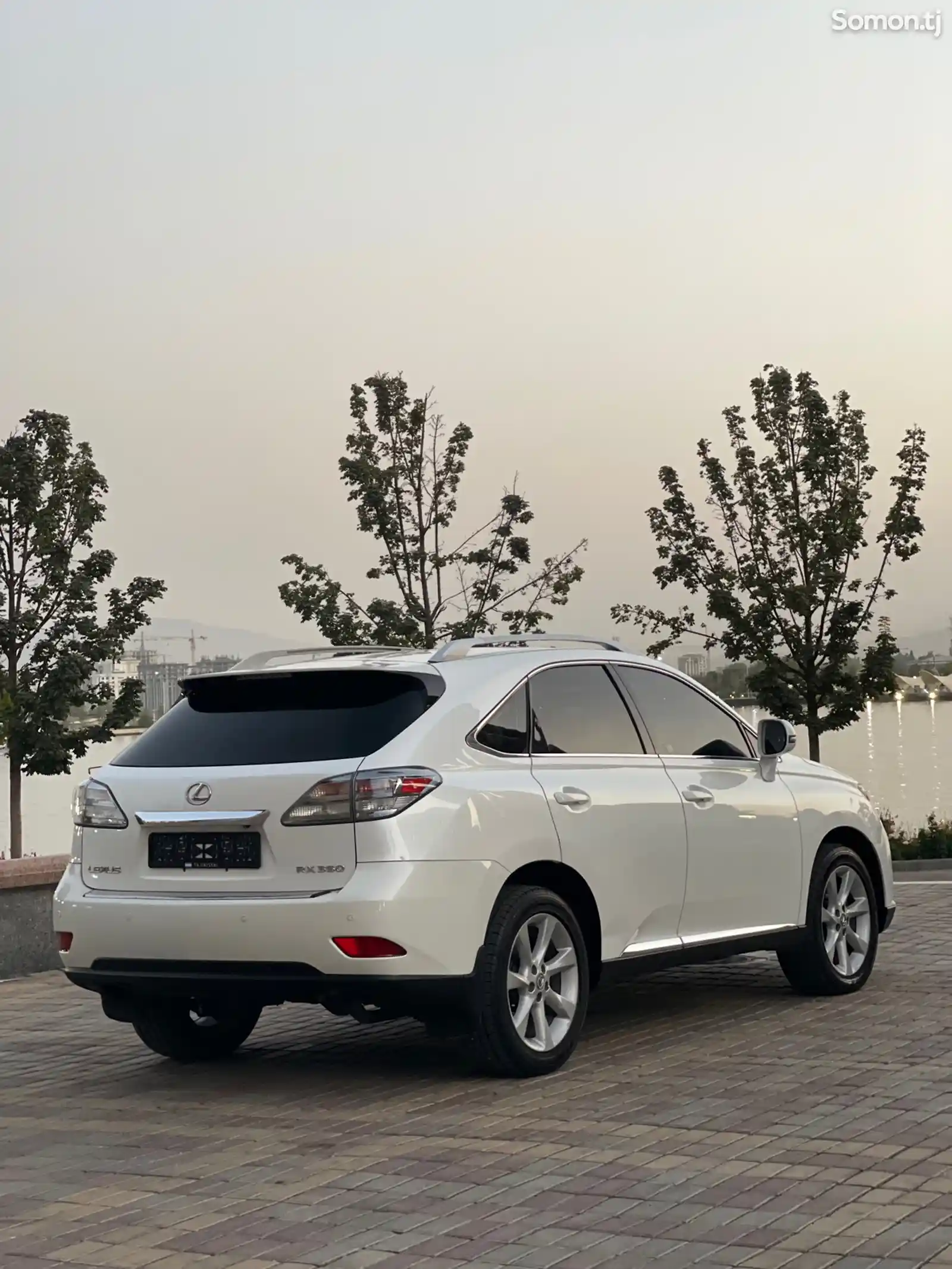 Lexus RX series, 2010-7