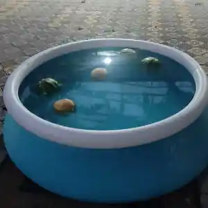 Полунадувной бассейн