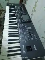 Синтезатор korg pa3x pro-3