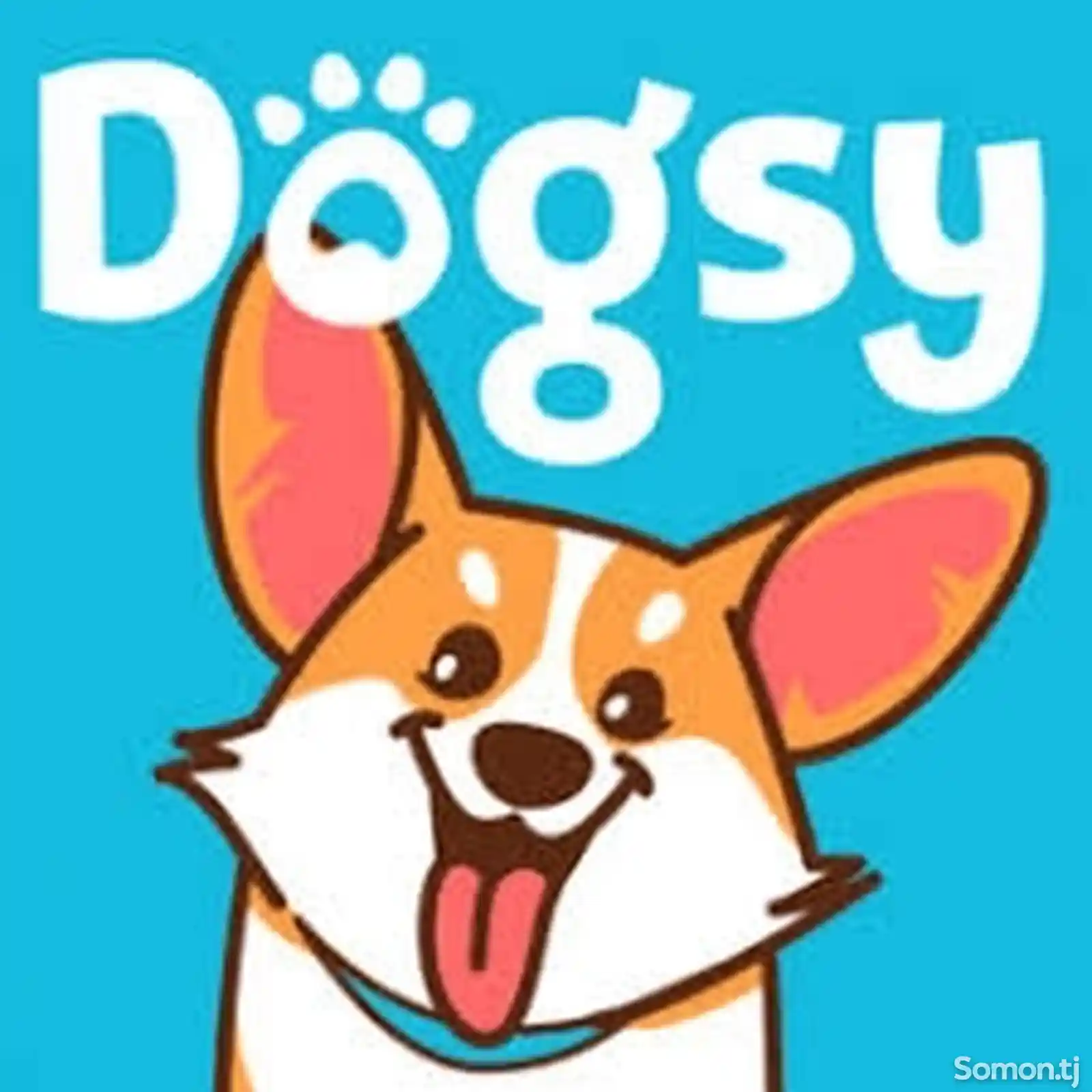 Догси-Присмотр собак у себя дома-1