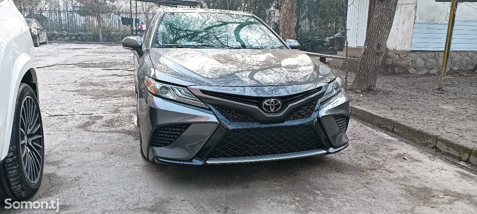 Toyota Camry, 2019-1