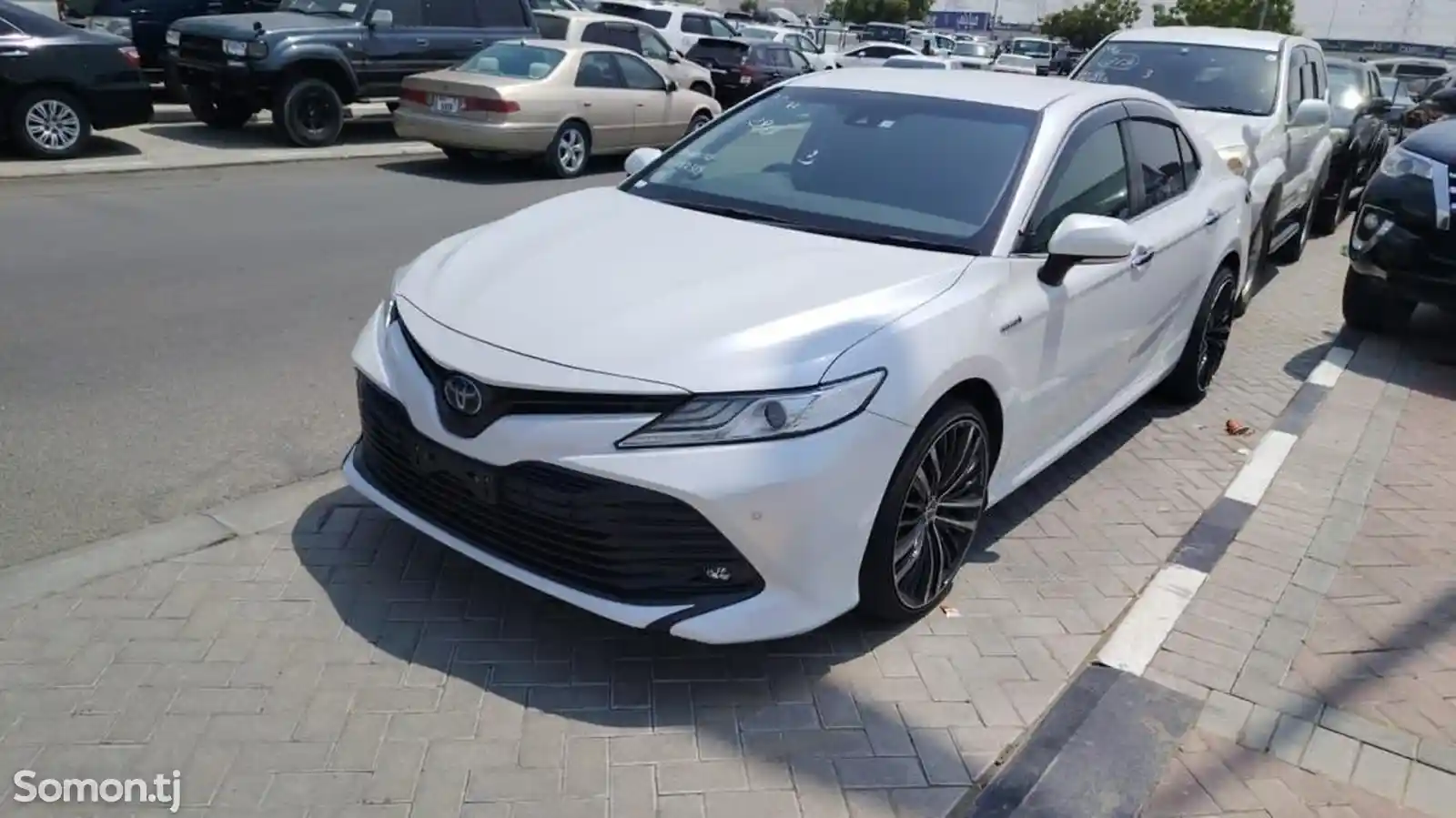 Toyota Camry, 2019-5