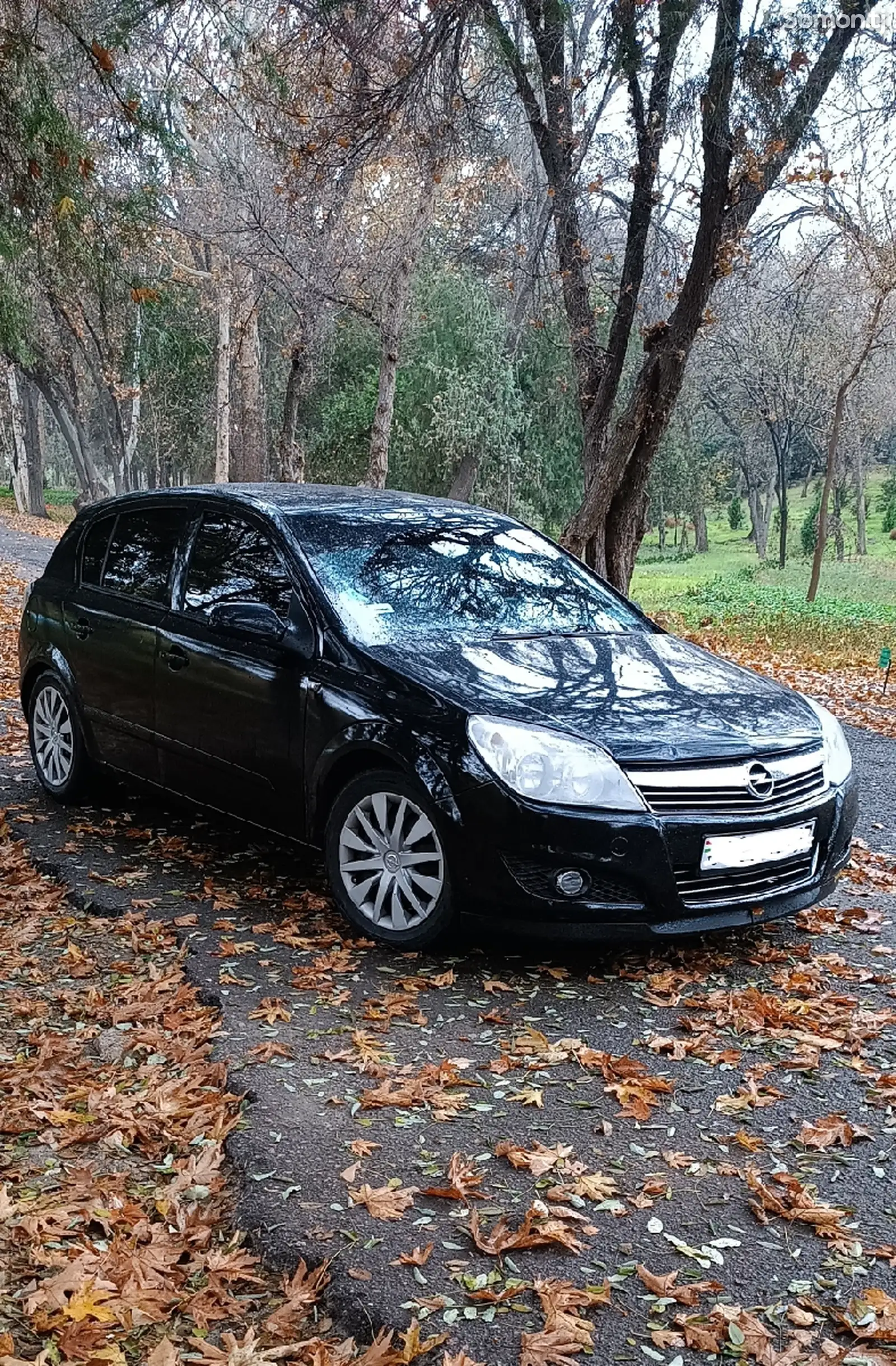 Opel Astra H, 2008-1