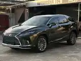 Lexus RX series, 2023-4