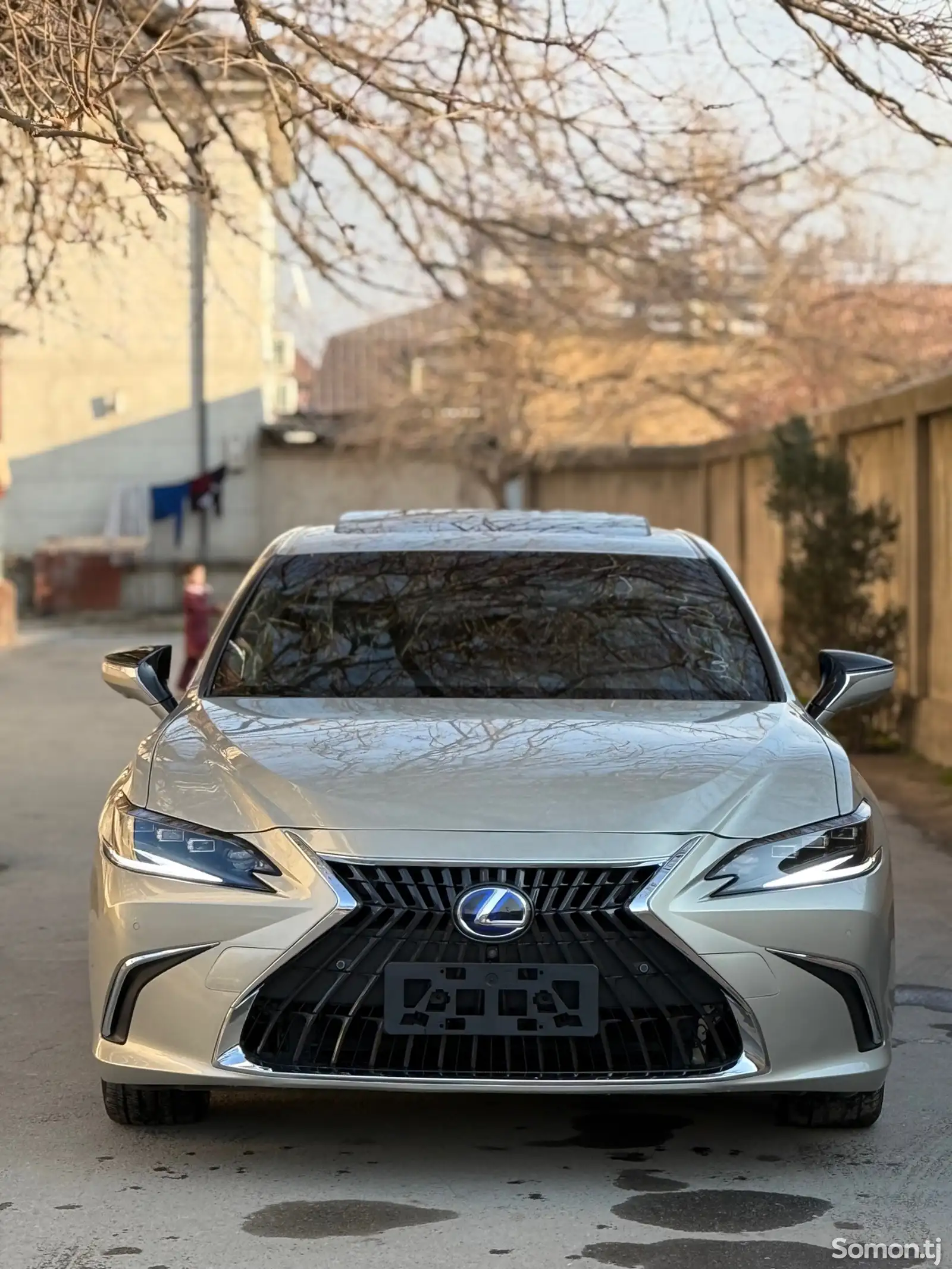 Lexus ES series, 2019-1