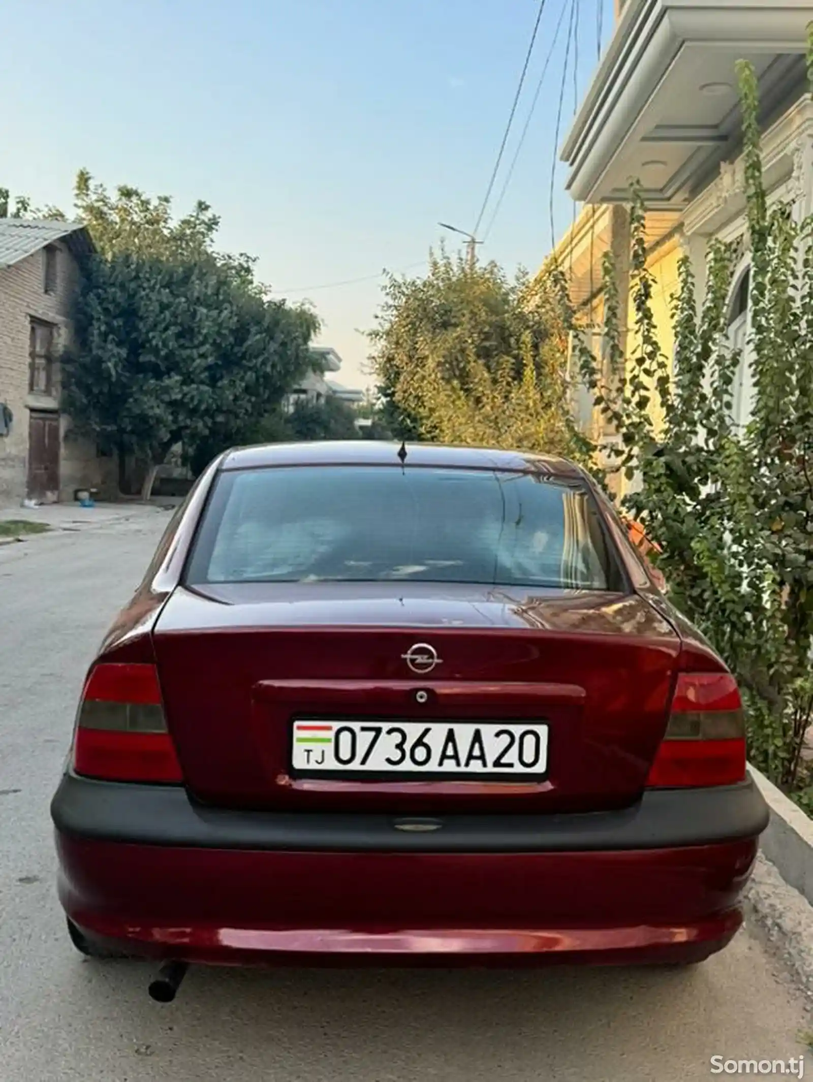 Opel Vectra B в аренду-3