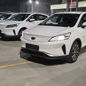 BYD E2, 2019