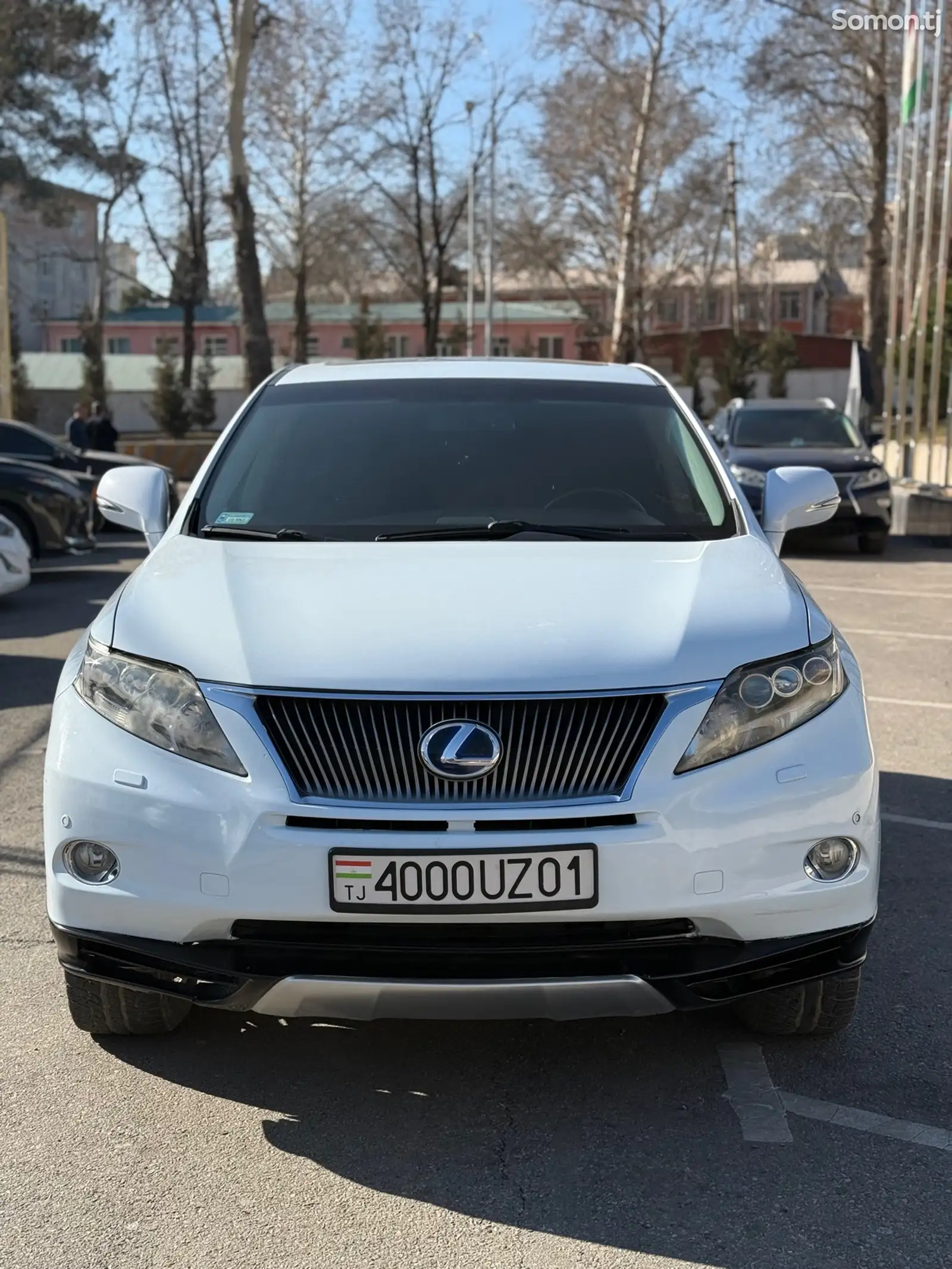 Lexus RX series, 2010-1