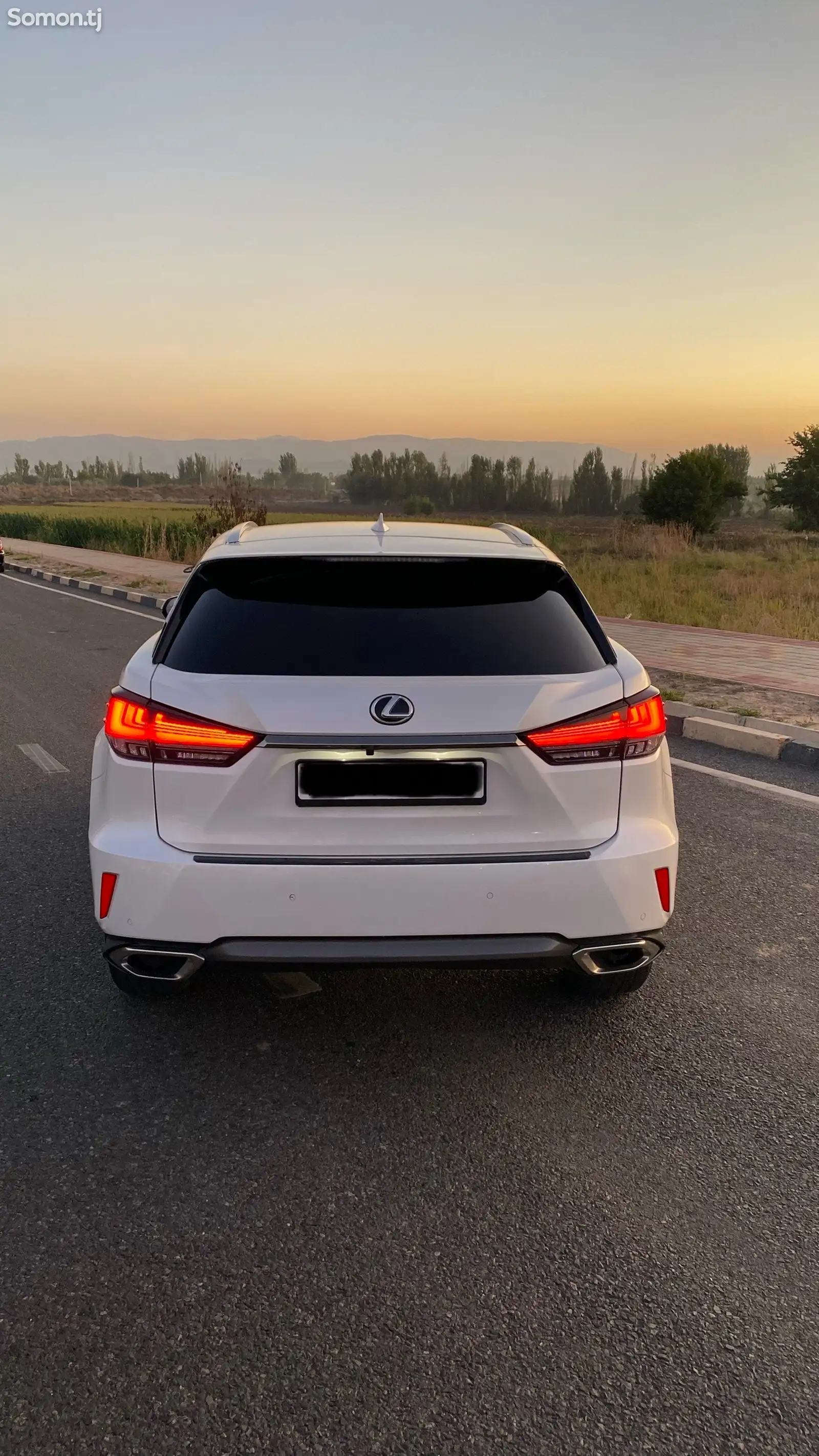 Lexus RX series, 2018-4