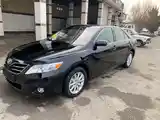 Toyota Camry, 2010-4