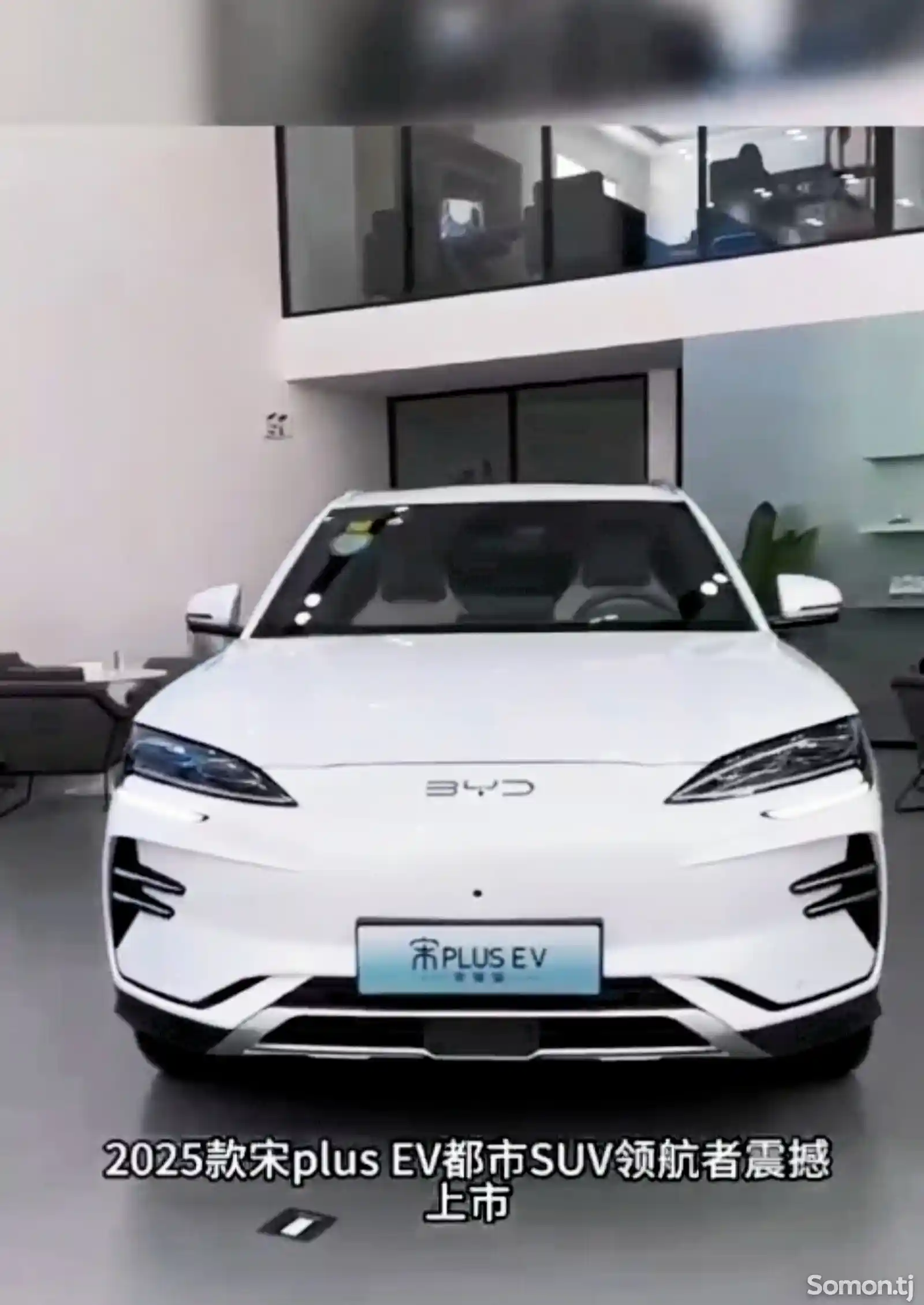 BYD Song Plus Flagship, 2024 на заказ-3