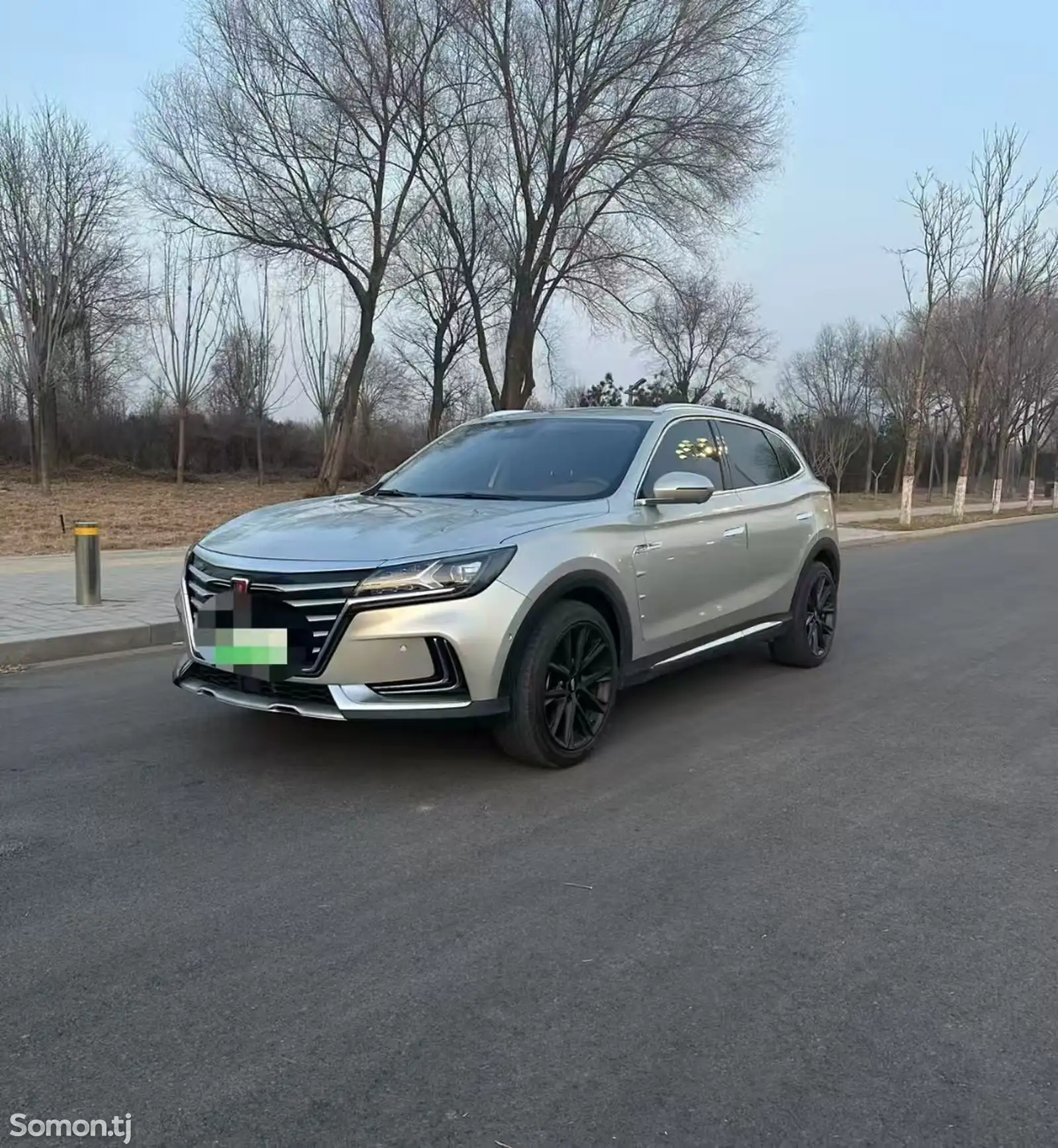 Roewe Marvel X, 2019-1