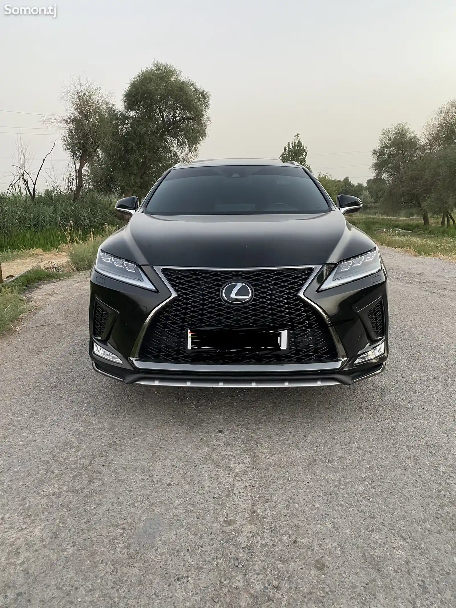 Lexus RX series, 2022-1