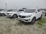 Kia Sportage, 2014-3