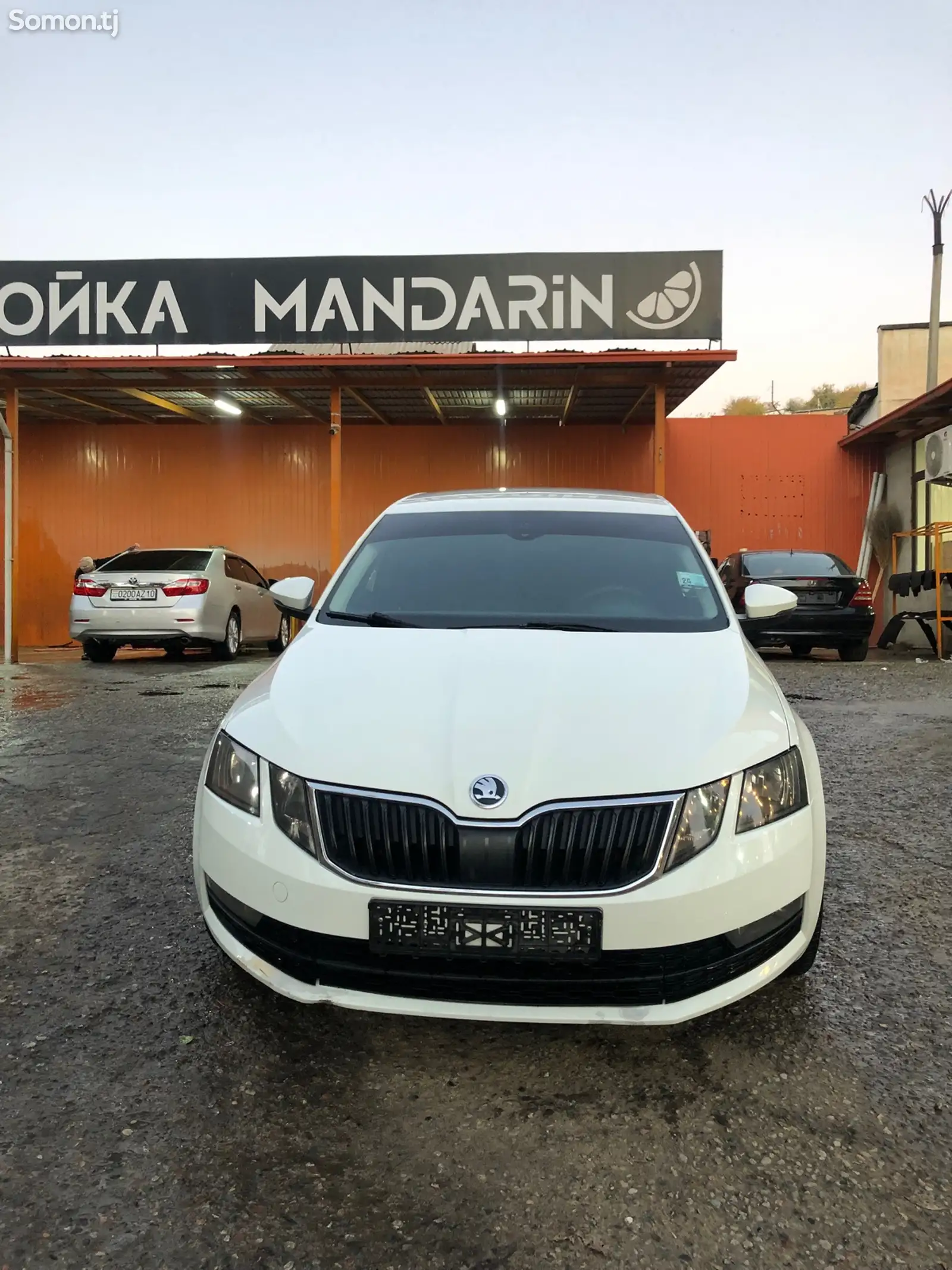 Skoda Octavia, 2018-1