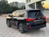 Lexus LX series, 2019-6