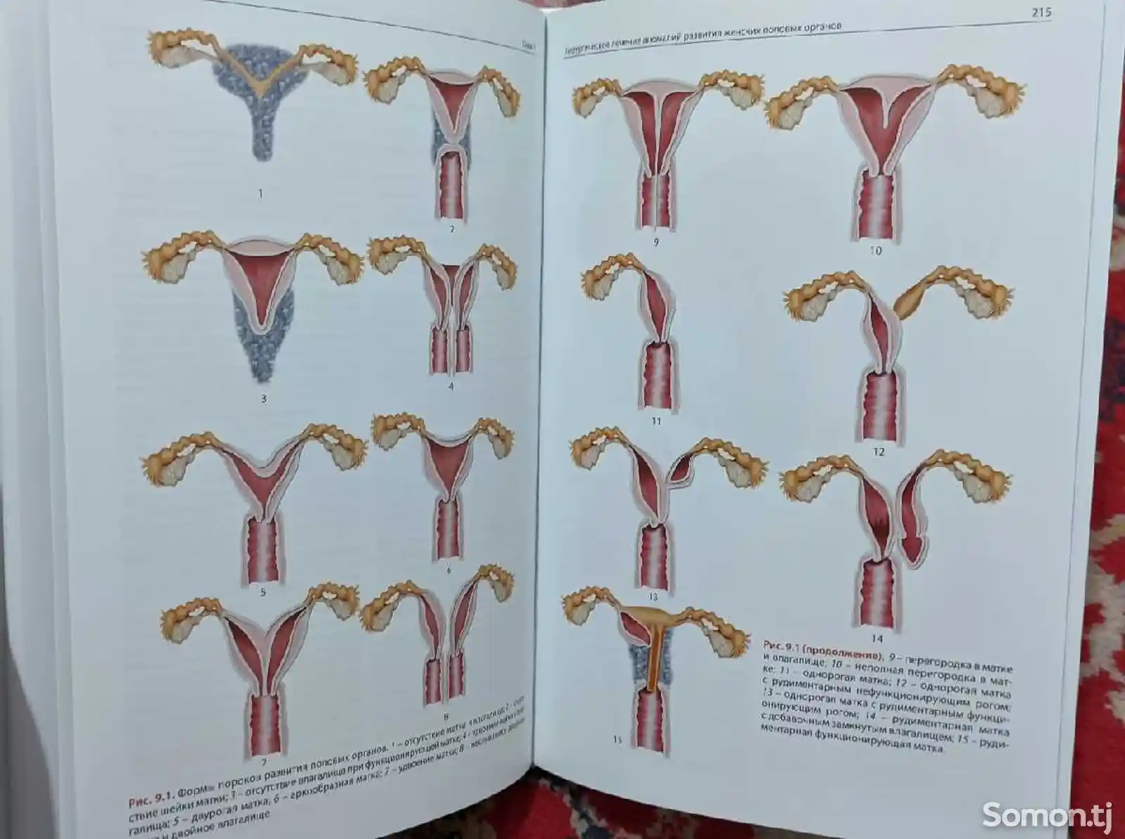Книга Оперативная гинекология-5