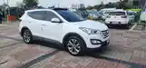 Hyundai Santa Fe, 2014-11