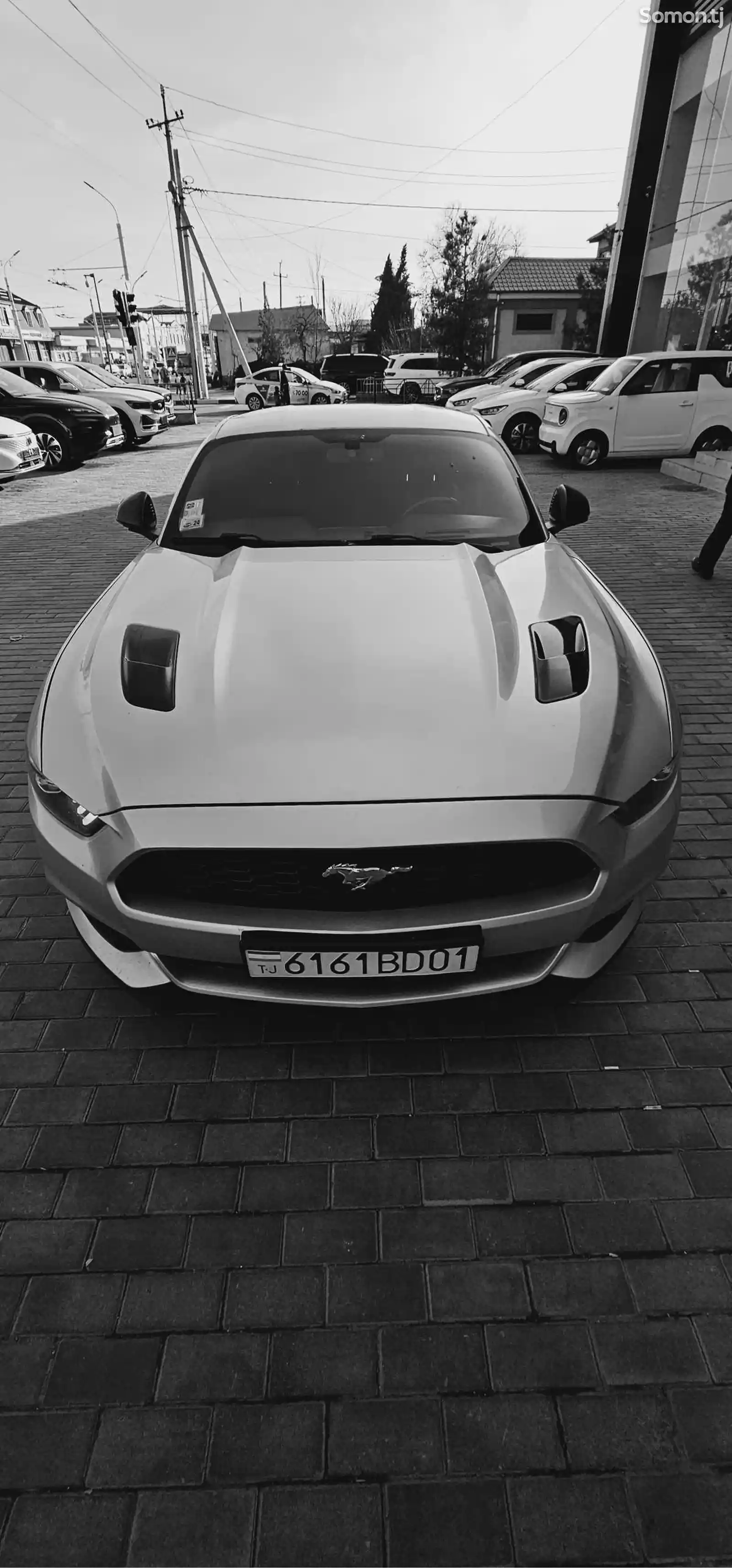 Ford Mustang, 2019-4