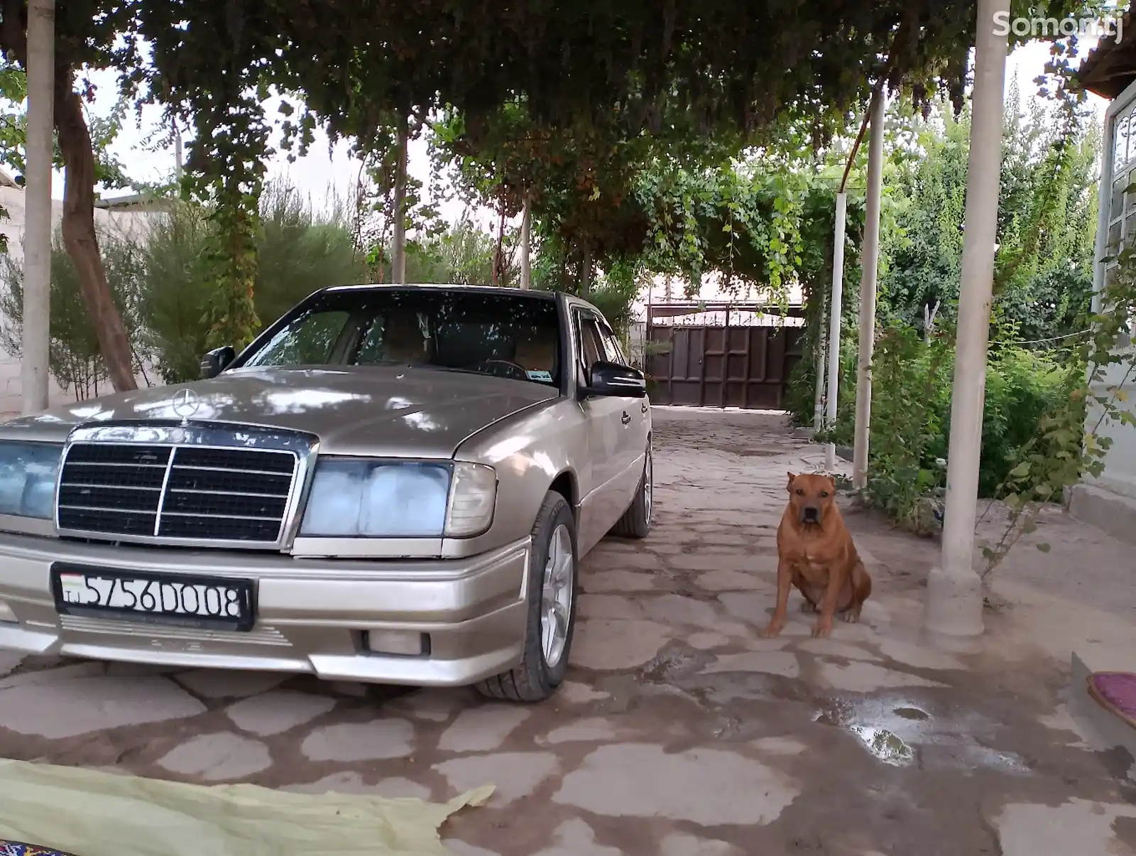 Mercedes-Benz W124, 1993-1