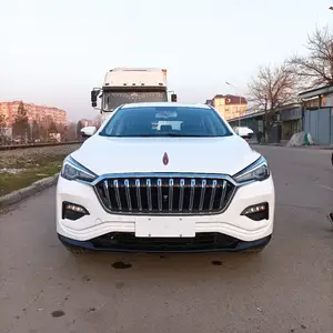 Hongqi E-HS3, 2019