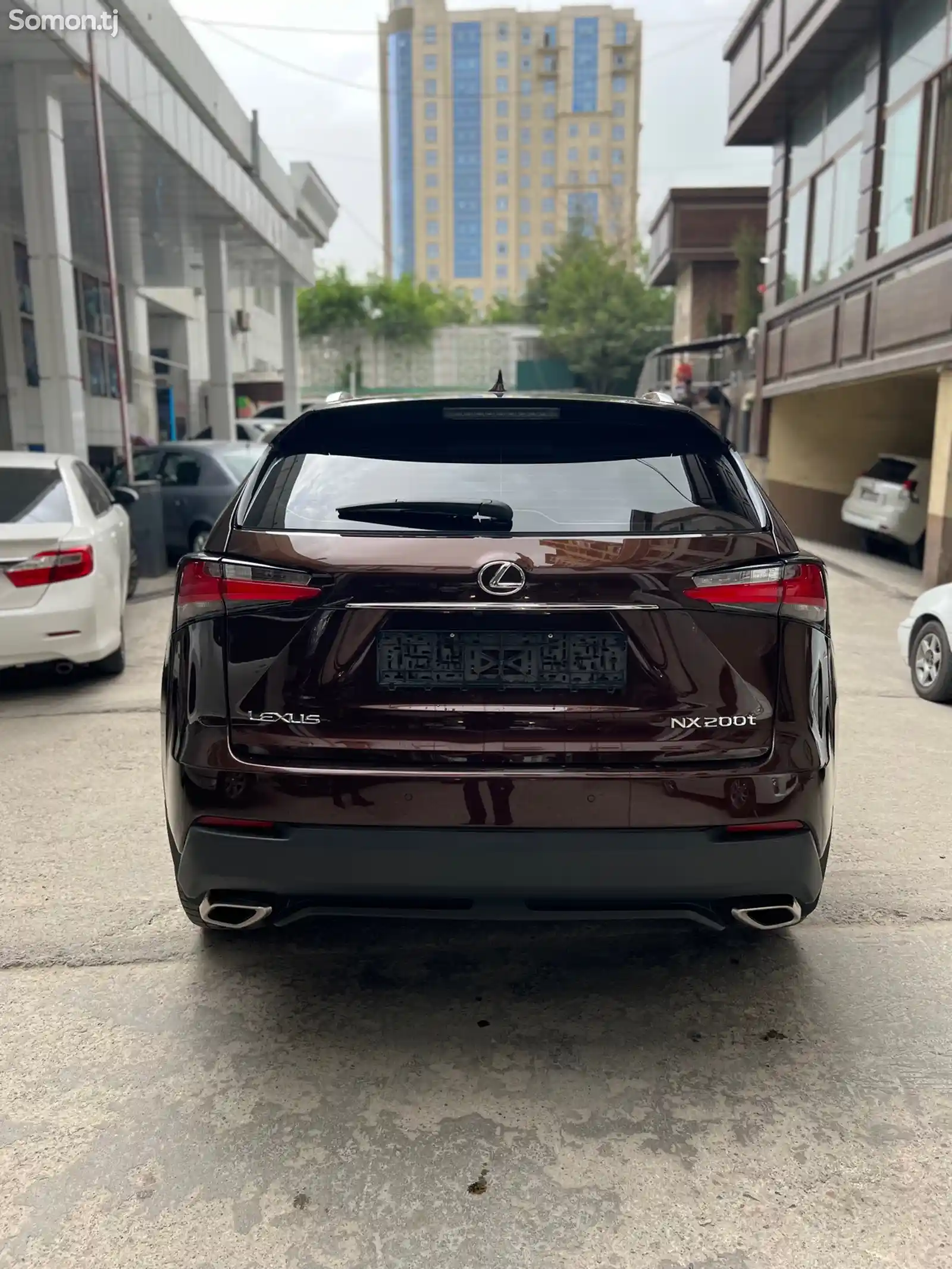 Lexus NX series, 2018-8