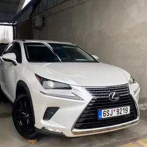 Lexus NX series, 2019