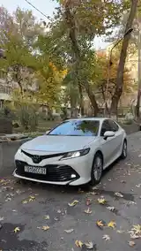 Фары от Toyota Camry 6-3