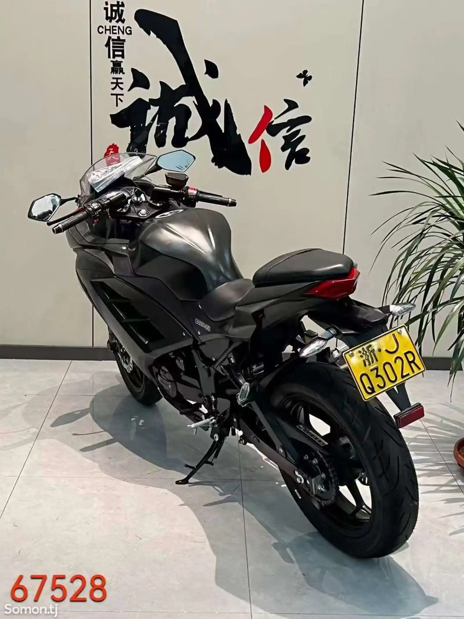 Kawasaki Ninja 200RR на заказ-7