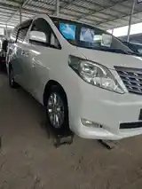 Toyota Alphard, 2009-3