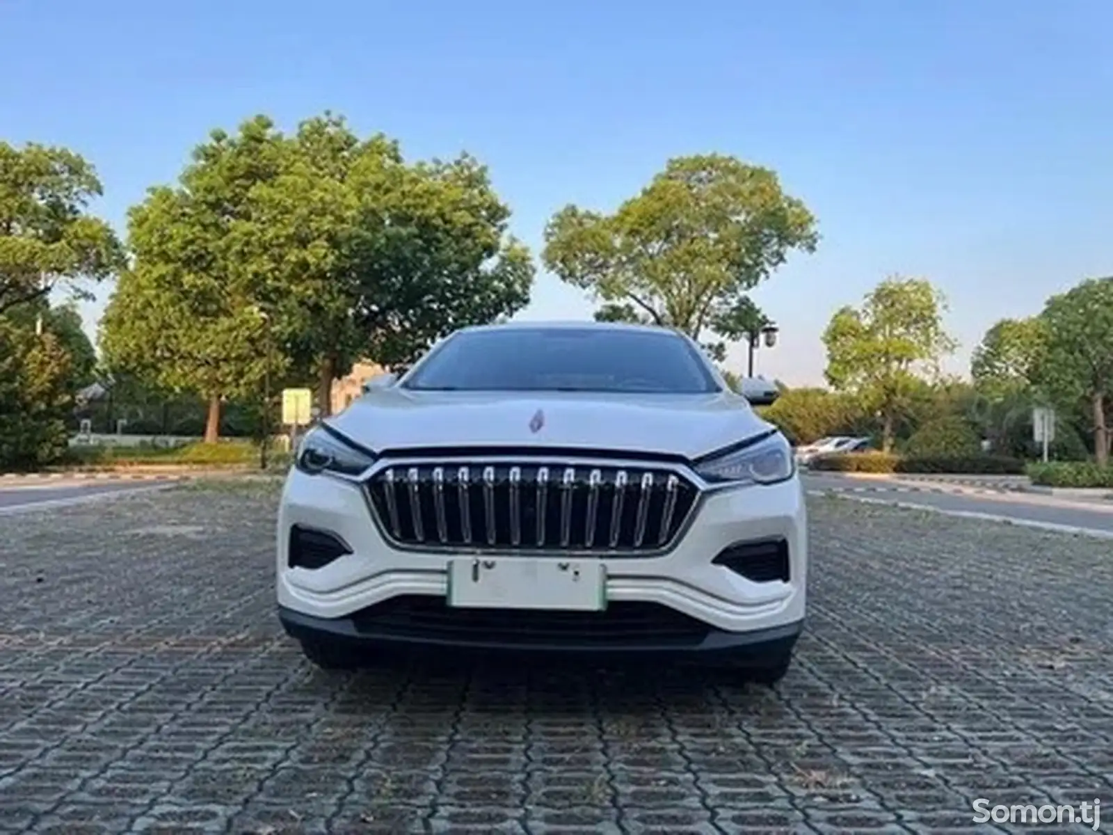 Hongqi E-HS3, 2020