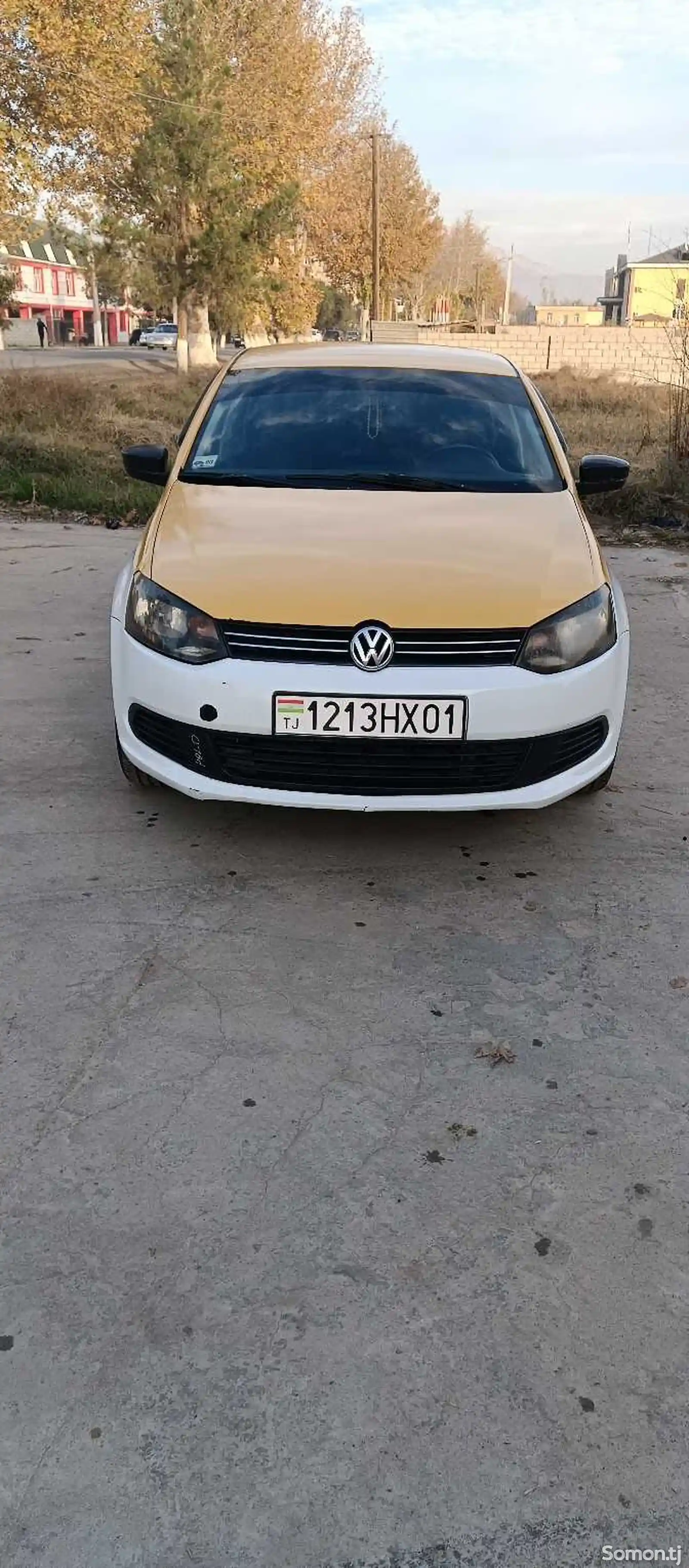 Volkswagen Polo, 2011-1