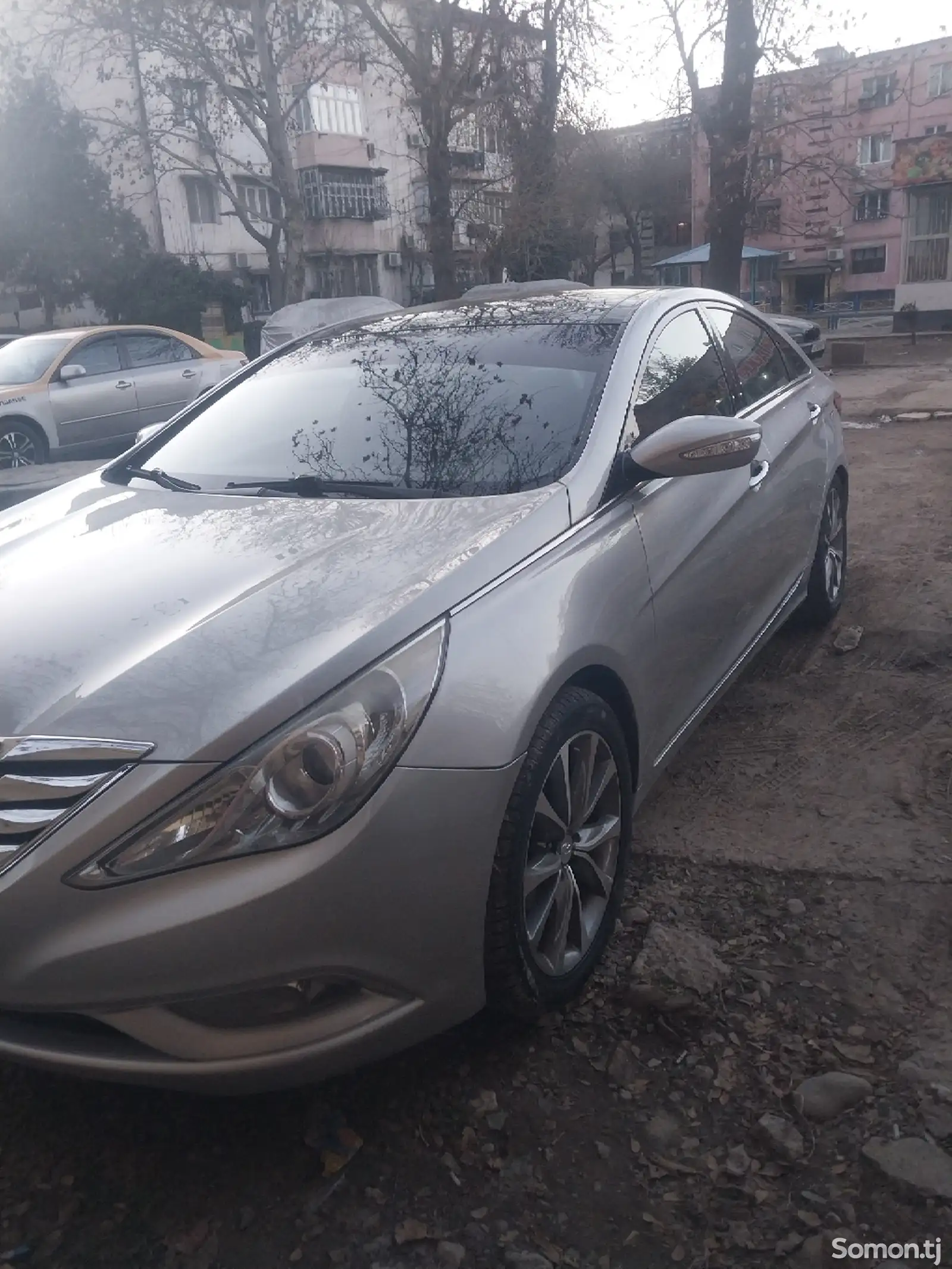 Hyundai Sonata, 2010-1