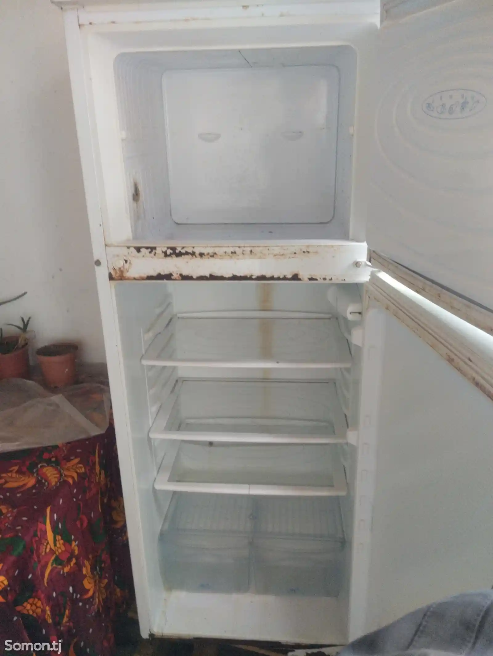 Холодильник Nord 300литр-2