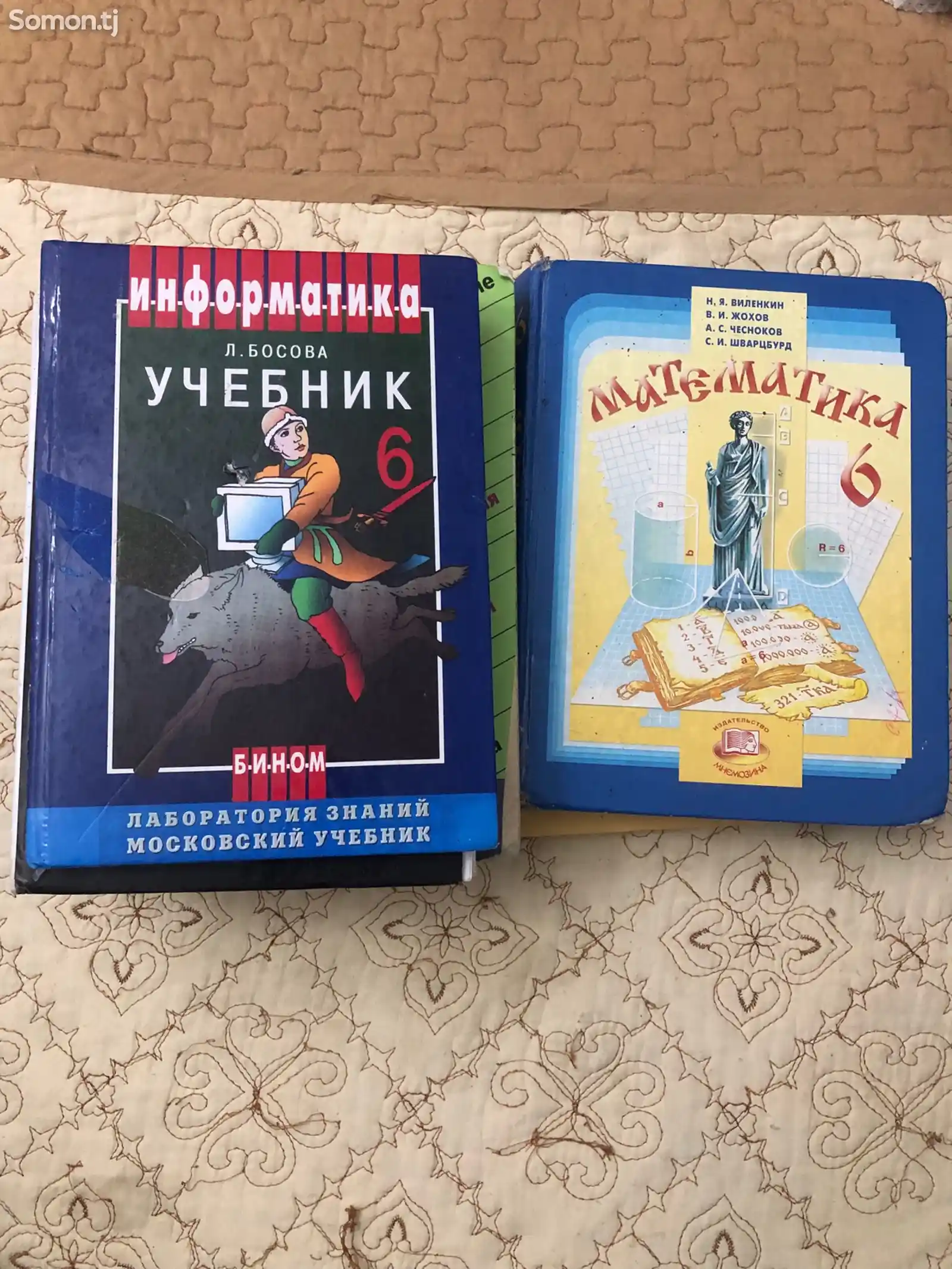 Школьные книги 6 класса для русской школы