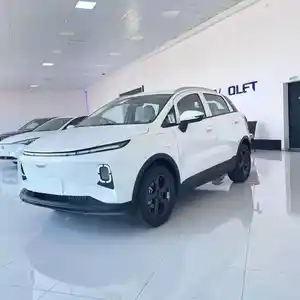 Geely Geometry E, 2024