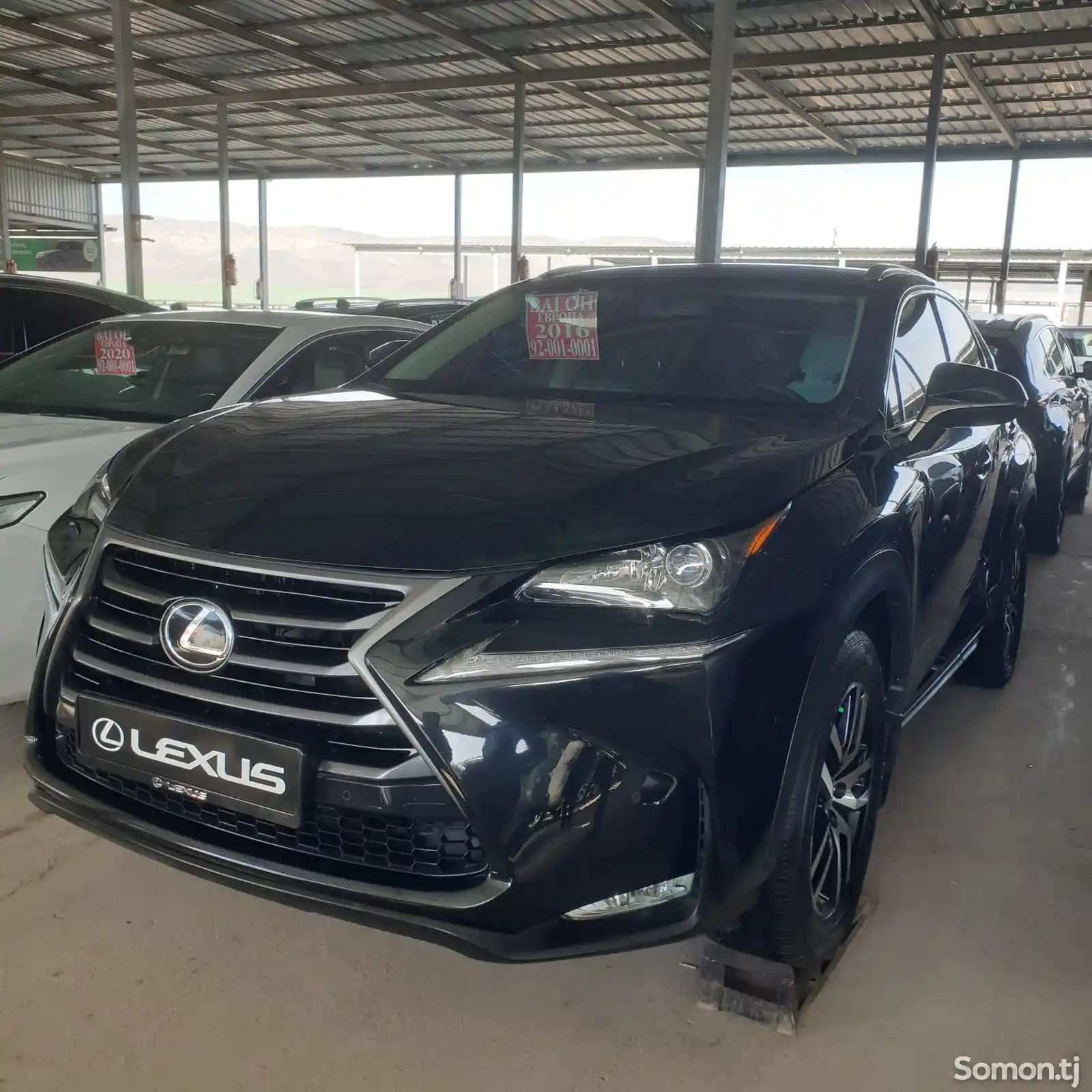 Lexus NX series, 2017-2