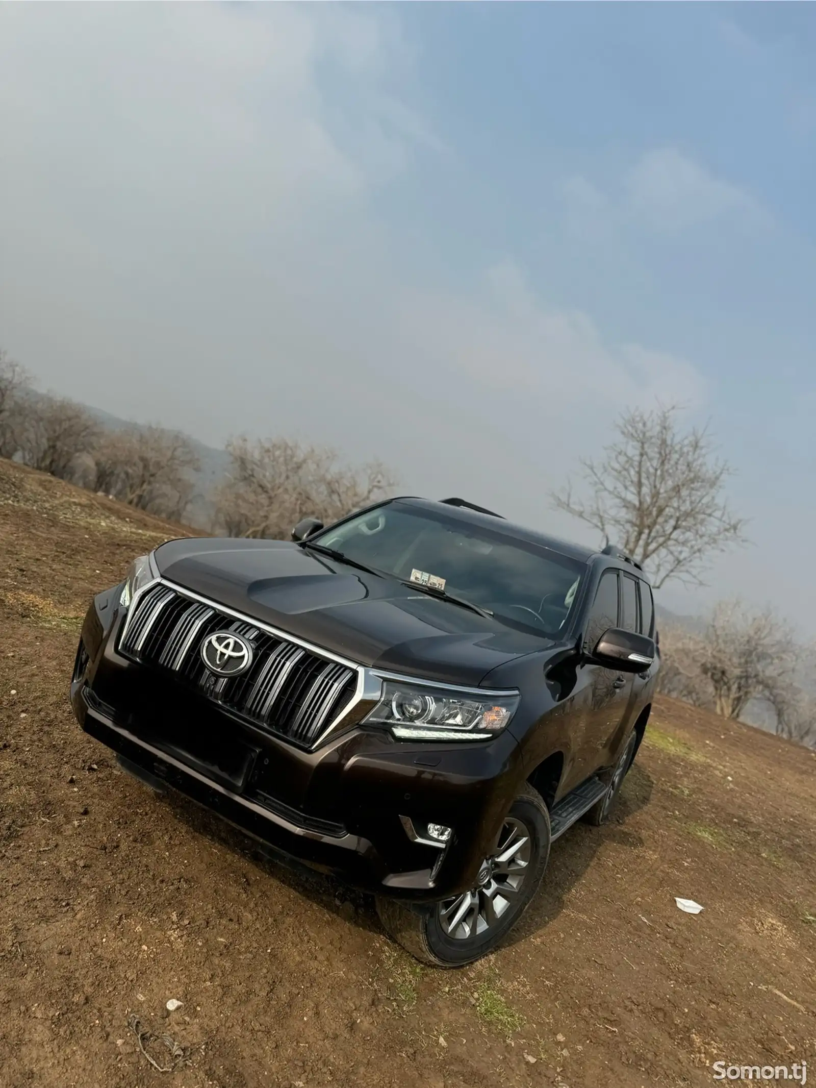 Toyota Land Cruiser Prado, 2021-1